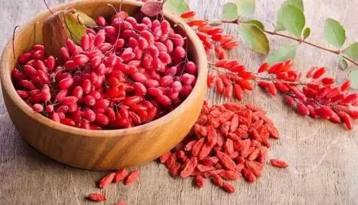 بهترین زمان مصرف اب زرشک برای کبد چرب