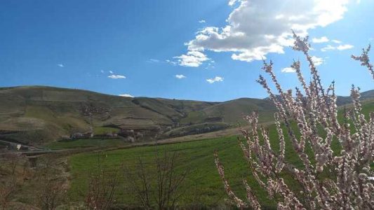 احترام کردها به شاه‌مردان در روز طبیعت/مسافران نوروزی نهال کاشتند - خبرگزاری مهر | اخبار ایران و جهان