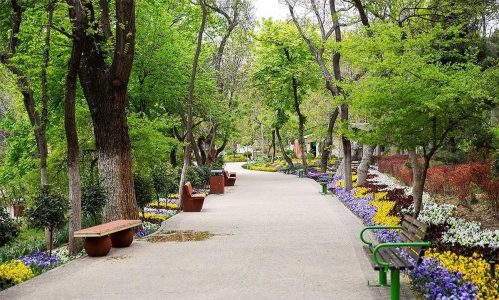 ماجرای چرایی ساخت مسجد در پارک‌های بزرگ شهر