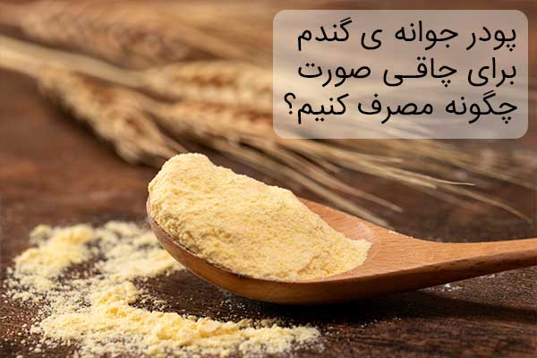 مقدار مصرف روزانه پودر جوانه گندم برای چاقی