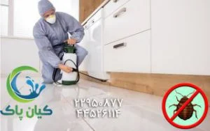 راهنمای جامع مبارزه با ساس : راهکارهای قطعی برای رفع مشکل و جلوگیری از آلودگی مجدد