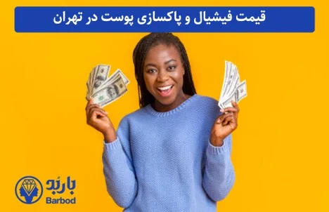 فیشیال و پاکسازی پوست حرفه ای در تهران: از اندرزگو تا شمال شهر