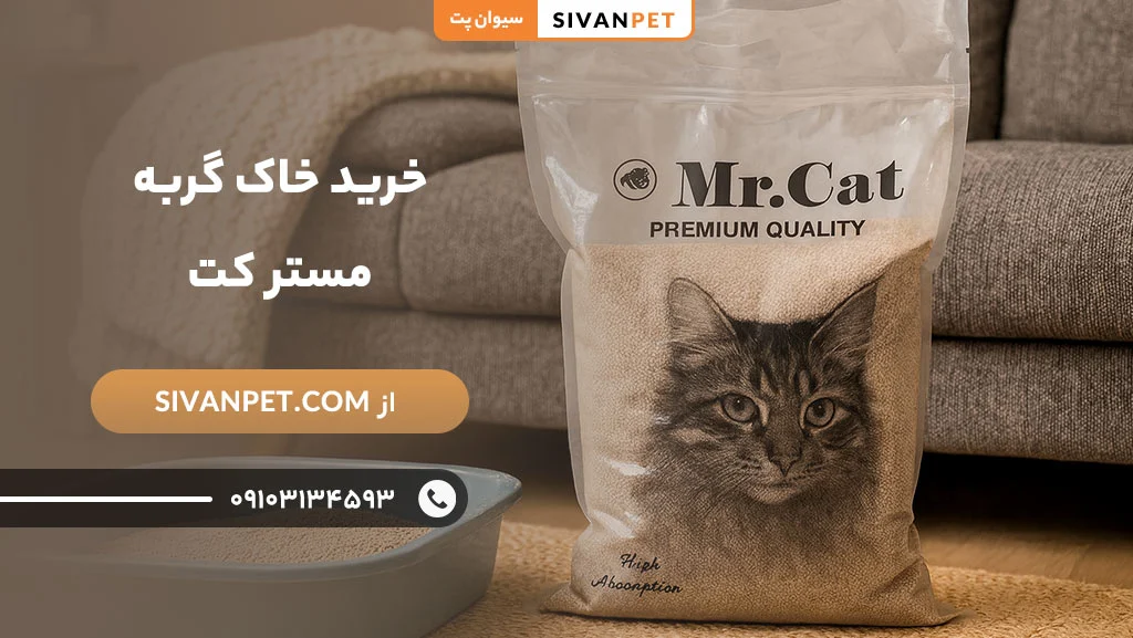 مزایای خرید خاک گربه مستر کت