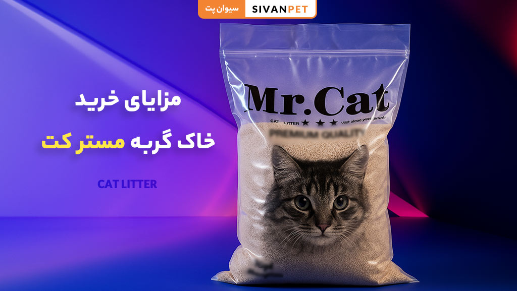 مزایای خرید خاک گربه مستر کت از سیوان پت