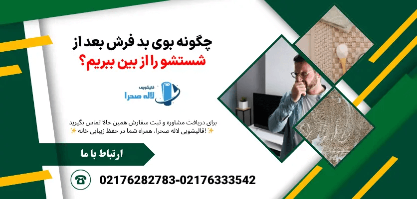 از بین بردن بوی بد فرش