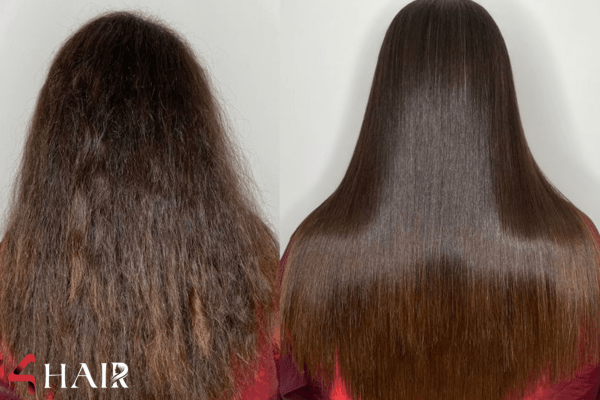 جدیدترین برندهای مواد تراپی مو در سال ۱۴۰۴
